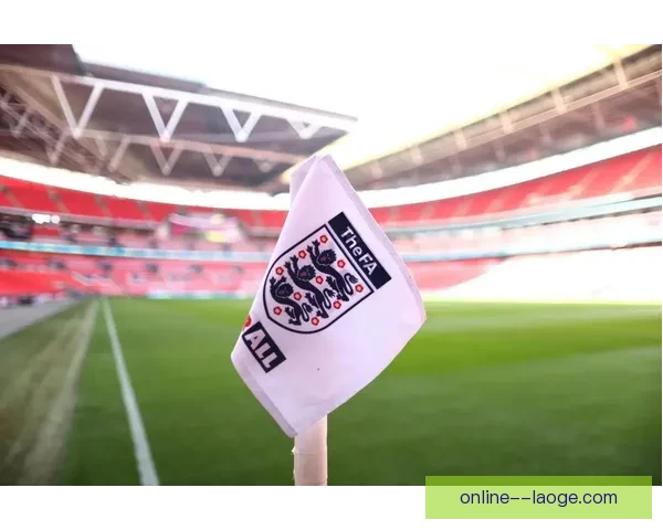 卢顿英超主场草皮紧急翻新确保比赛安全标准